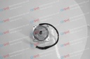Servo motor