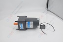 Gear Motor