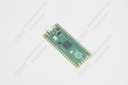 Development board