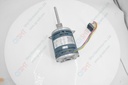 Blower Motor