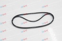 Gear Belt