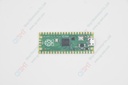 Development board