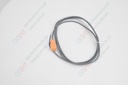 Fotek Sensor