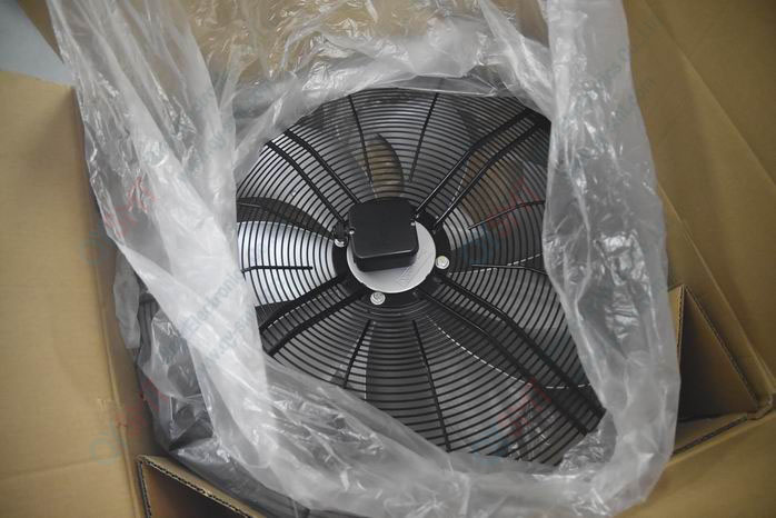 Fan